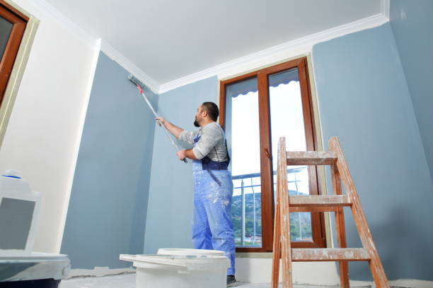 Best Basement Mold Removal  in La Vista, NE