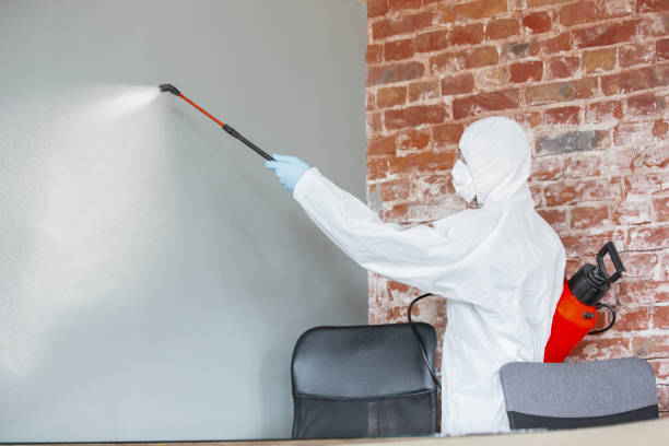 Best HVAC Mold Inspection and Cleaning  in La Vista, NE