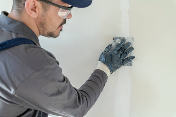 Trusted La Vista, NE Mold Removal Experts
