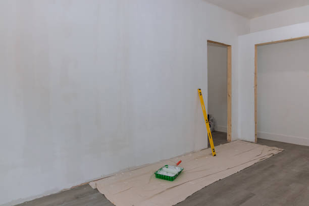Best Mold Remediation for Healthcare Facilities  in La Vista, NE