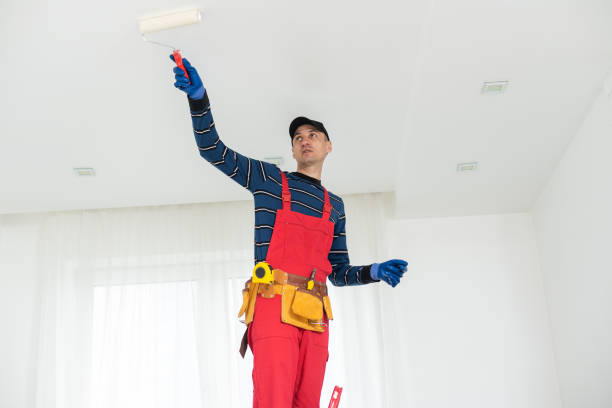 Best Mold Damage Restoration  in La Vista, NE
