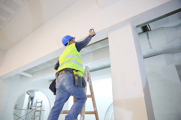 Best Air Quality Testing for Mold Spores  in La Vista, NE