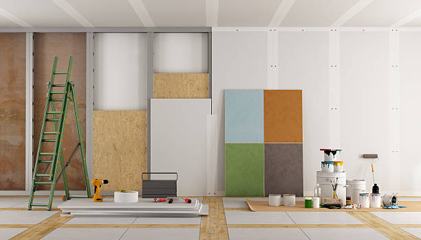 Best Attic Mold Removal  in La Vista, NE