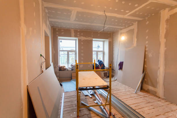Best Residential Mold Inspection & Testing  in La Vista, NE